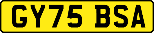 GY75BSA