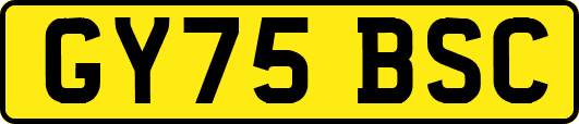 GY75BSC