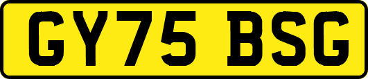 GY75BSG