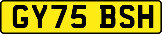 GY75BSH