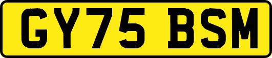 GY75BSM