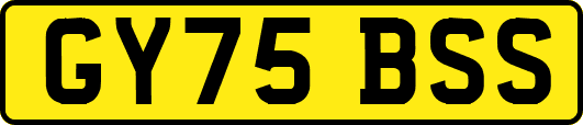 GY75BSS