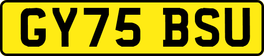 GY75BSU