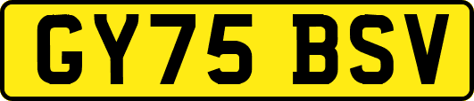 GY75BSV
