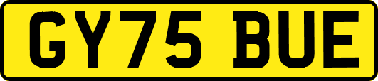 GY75BUE