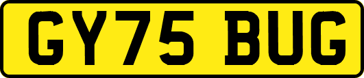 GY75BUG