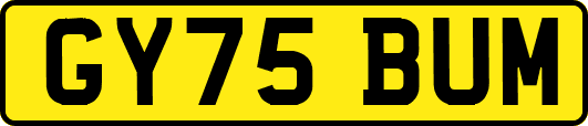 GY75BUM
