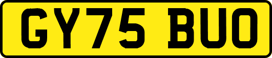 GY75BUO