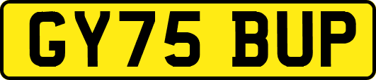 GY75BUP