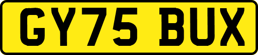 GY75BUX