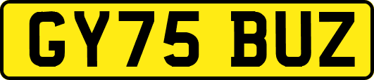 GY75BUZ