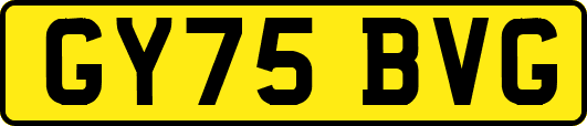 GY75BVG