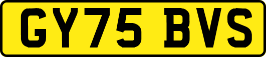 GY75BVS