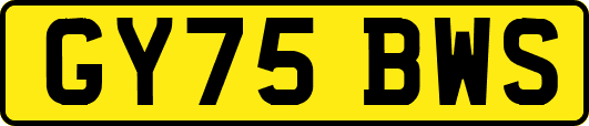 GY75BWS