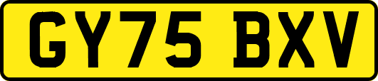 GY75BXV