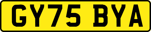 GY75BYA