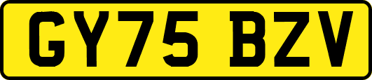 GY75BZV
