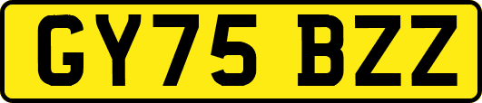 GY75BZZ