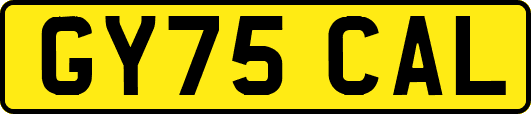 GY75CAL