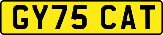 GY75CAT