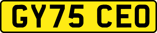 GY75CEO