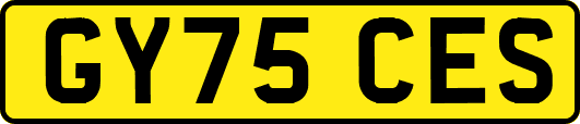 GY75CES