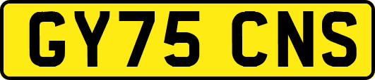 GY75CNS