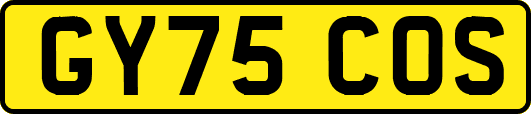 GY75COS