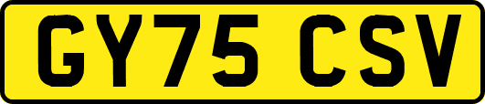 GY75CSV