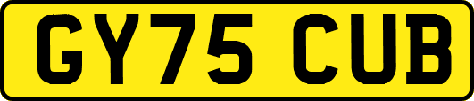 GY75CUB