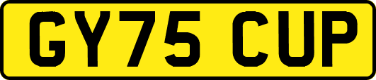 GY75CUP
