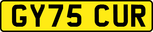 GY75CUR