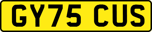 GY75CUS