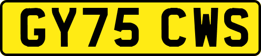 GY75CWS