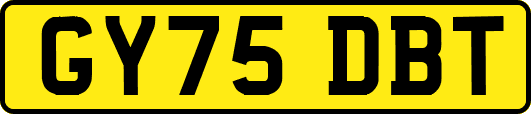 GY75DBT