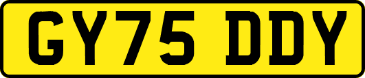 GY75DDY
