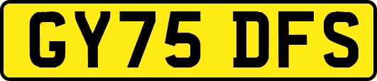 GY75DFS