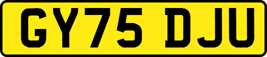 GY75DJU