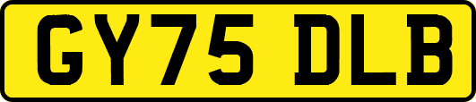 GY75DLB