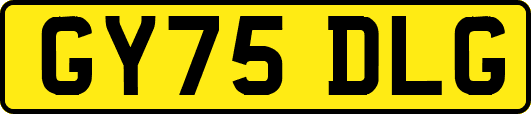 GY75DLG