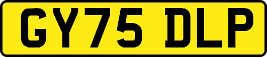 GY75DLP