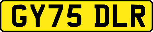 GY75DLR