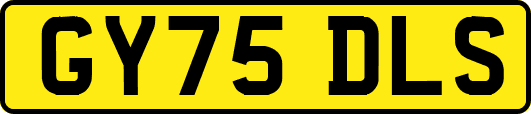 GY75DLS