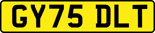 GY75DLT
