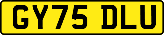 GY75DLU
