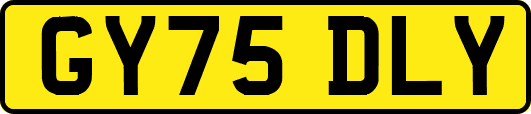 GY75DLY