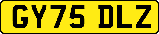 GY75DLZ