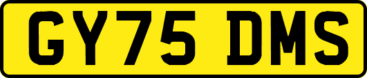 GY75DMS