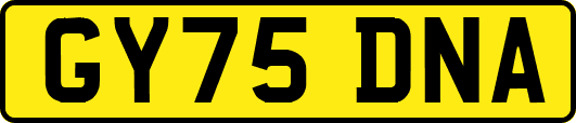 GY75DNA
