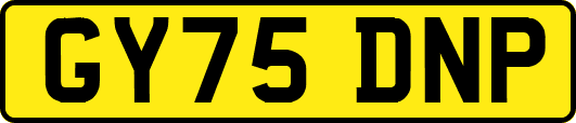 GY75DNP